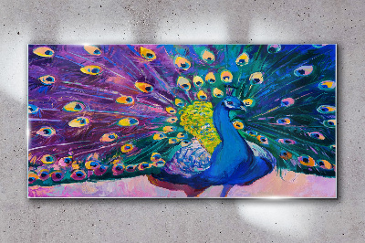 Obraz na Szkle Zwierzę Ptak Paw Pióra
