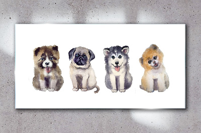 Obraz na Szkle Abstrakcja Zwierzęta Psy