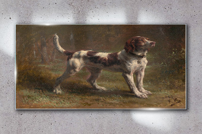 Obraz na Szkle Nowoczesny las zwierzę pies