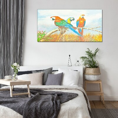 Obraz na Szkle Zwierzę Ptaki Papuga Chmury