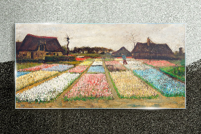 Obraz na Szkle Wiosenne pola tulipanów