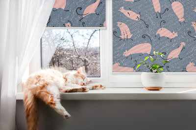 Roleta okienna wewnętrzna Różowe koty