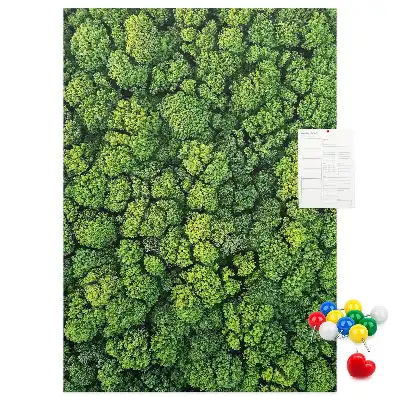 Tablica korkowa z nadrukiem leśna natura drzewa