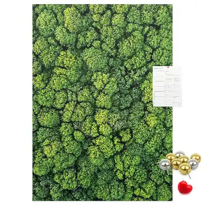 Tablica korkowa z nadrukiem leśna natura drzewa