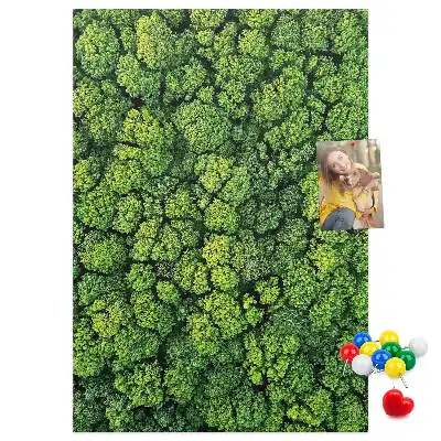 Tablica korkowa z nadrukiem leśna natura drzewa