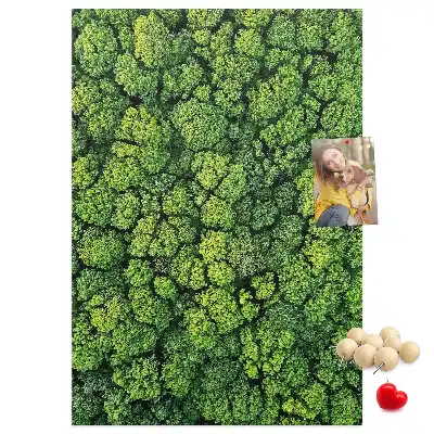 Tablica korkowa z nadrukiem leśna natura drzewa