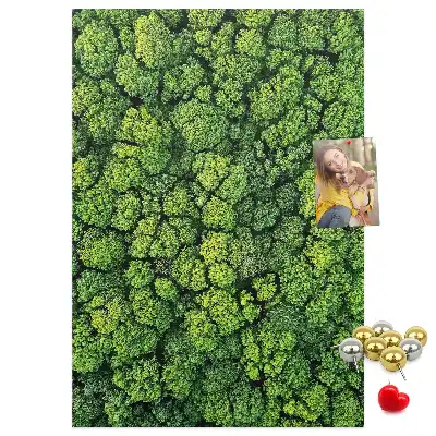 Tablica korkowa z nadrukiem leśna natura drzewa