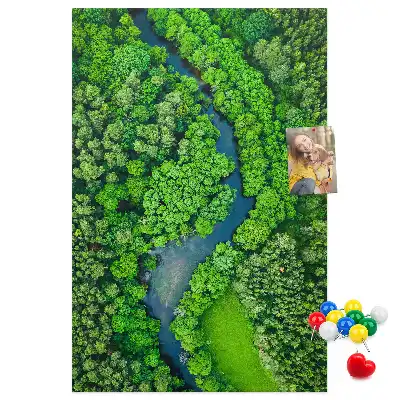 Tablica korkowa Leśny potok