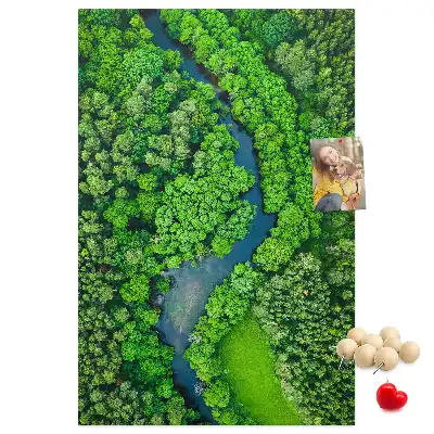 Tablica korkowa Leśny potok