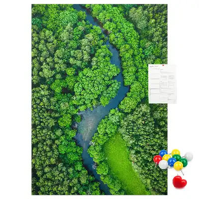 Tablica korkowa Leśny potok