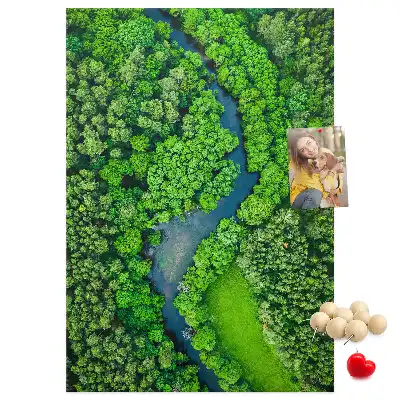 Tablica korkowa Leśny potok