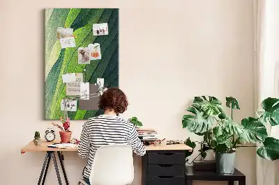 Tablica korkowa Naturalne linie krajobrazu