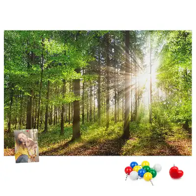 Ozdobna tablica korkowa Las wschód słońca