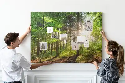 Ozdobna tablica korkowa Las wschód słońca