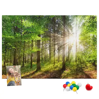Ozdobna tablica korkowa Las wschód słońca