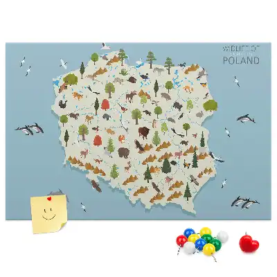 Tablica korkowa Polska Mapa zwierząt