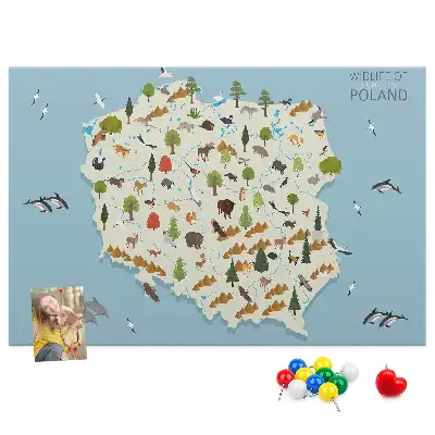 Tablica korkowa Polska Mapa zwierząt