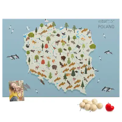 Tablica korkowa Polska Mapa zwierząt