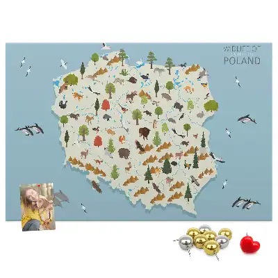 Tablica korkowa Polska Mapa zwierząt
