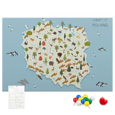 Tablica korkowa Polska Mapa zwierząt