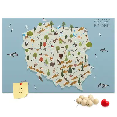 Tablica korkowa Polska Mapa zwierząt
