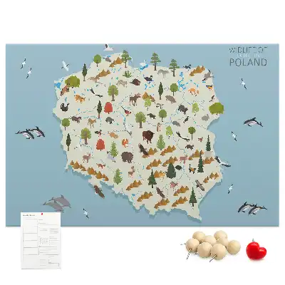 Tablica korkowa Polska Mapa zwierząt