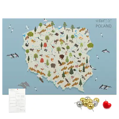 Tablica korkowa Polska Mapa zwierząt