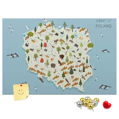 Tablica korkowa Polska Mapa zwierząt