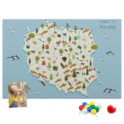 Tablica korkowa Polska Mapa zwierząt