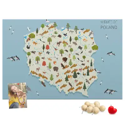 Tablica korkowa Polska Mapa zwierząt