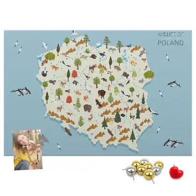 Tablica korkowa Polska Mapa zwierząt