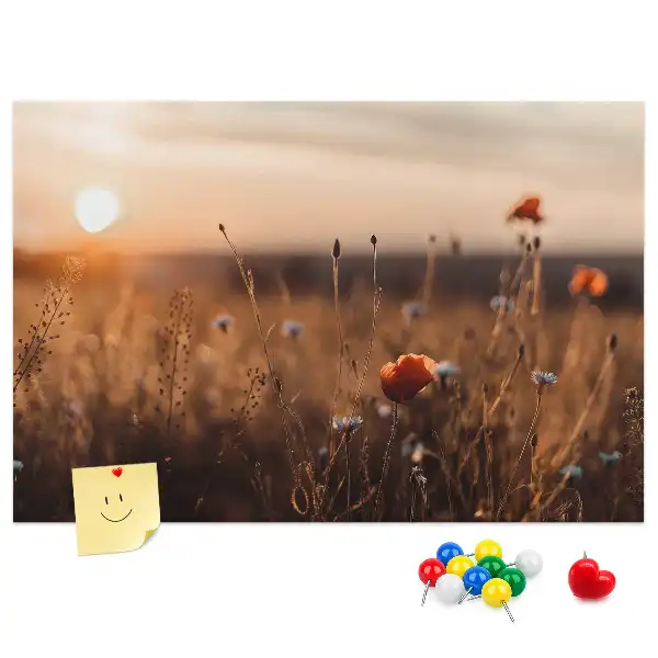 Ozdobna tablica korkowa Pole wschód słońca