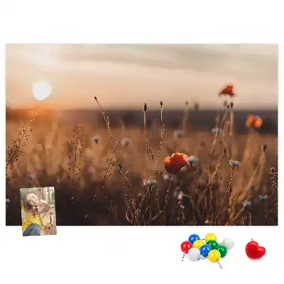Ozdobna tablica korkowa Pole wschód słońca