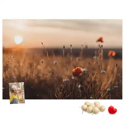 Ozdobna tablica korkowa Pole wschód słońca