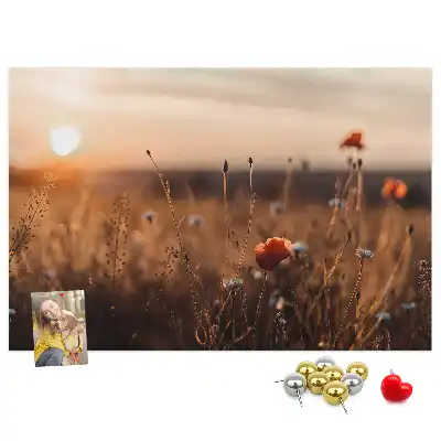 Ozdobna tablica korkowa Pole wschód słońca