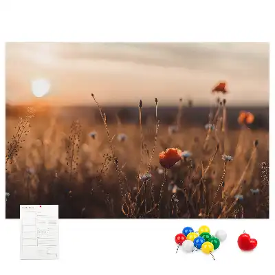 Ozdobna tablica korkowa Pole wschód słońca