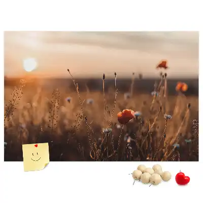 Ozdobna tablica korkowa Pole wschód słońca