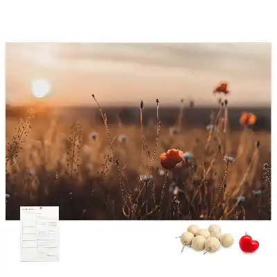 Ozdobna tablica korkowa Pole wschód słońca