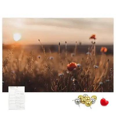 Ozdobna tablica korkowa Pole wschód słońca