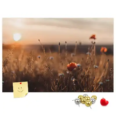 Ozdobna tablica korkowa Pole wschód słońca