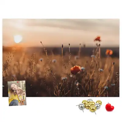 Ozdobna tablica korkowa Pole wschód słońca