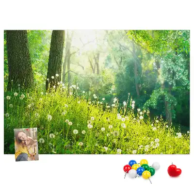 Ozdobna tablica korkowa Natura wiosenna