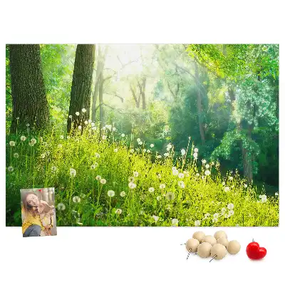 Ozdobna tablica korkowa Natura wiosenna