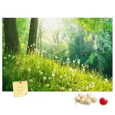 Ozdobna tablica korkowa Natura wiosenna