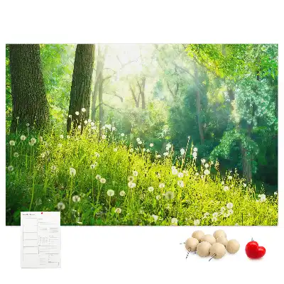 Ozdobna tablica korkowa Natura wiosenna