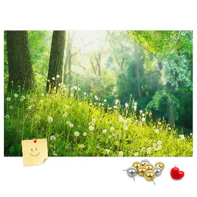 Ozdobna tablica korkowa Natura wiosenna