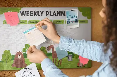 Korkowa tablica Plan lekcji