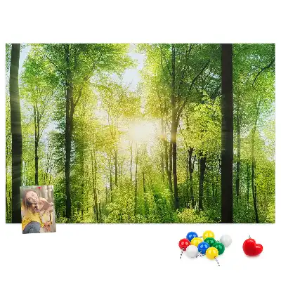 Tablica korkowa z motywem lasu i drzew Natura