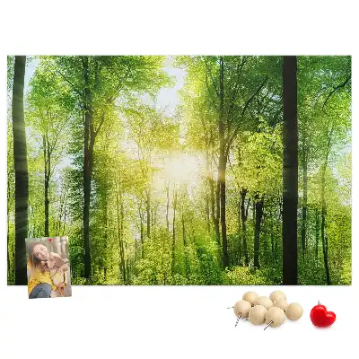 Tablica korkowa z motywem lasu i drzew Natura