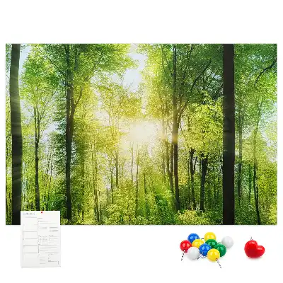 Tablica korkowa z motywem lasu i drzew Natura